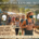 Walking & Outdoor Events